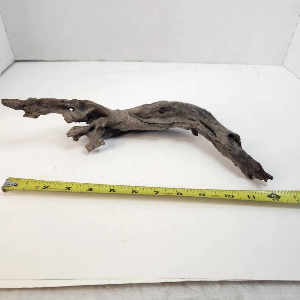 Natural driftwood for aquarium/terrarium/arts and crafts/Taxidermy 12
